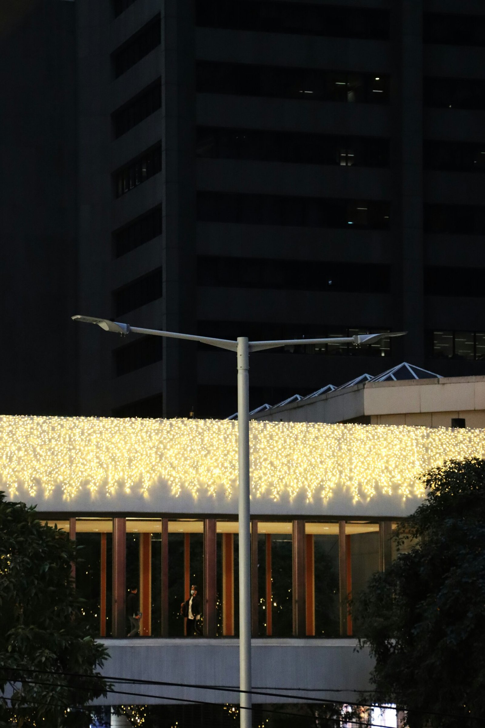 Save Time and Stress: The Advantages of Professional Christmas Lights Installation