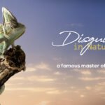 Chameleons: Exploring Nature’s Masters of Camouflage and Color