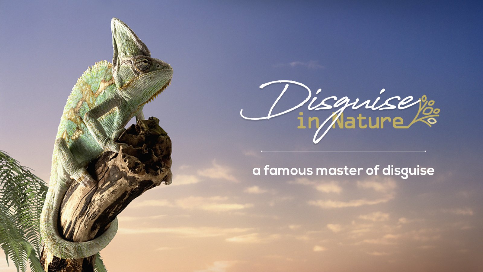 Chameleons: Exploring Nature’s Masters of Camouflage and Color