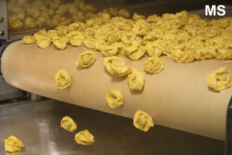 Tortellinatrice: The Smart Machine for Perfect Homemade Tortellini Every Time